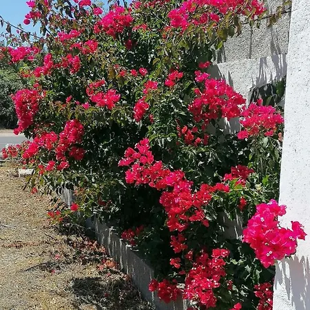Casa Rural Cho Agustin בית כפרי *